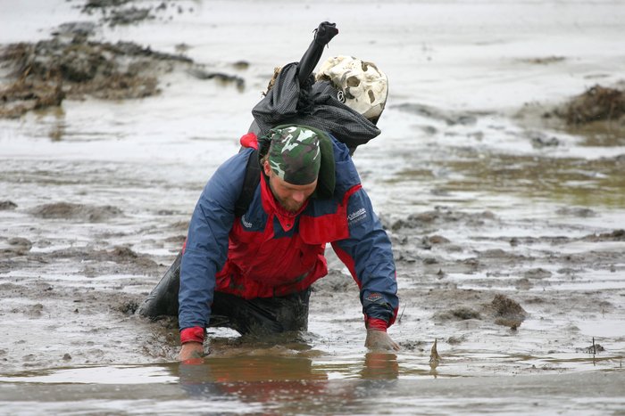 Stuck in the mud on the Bristol Bay coast.