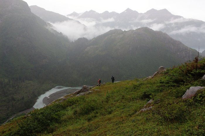 Taylor Valley and the Gore Peninsula on the south side of the Kenai Peninsula have rain-drenched forests and sloping wetlands, but treeline is low, sometimes below 1000 feet, owing to the deep snows that until recently would bury the mountains.