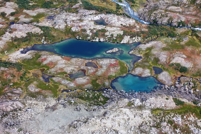 A pair or barely-separated alpine lakes in the tundra playground beyond the end of the trail.