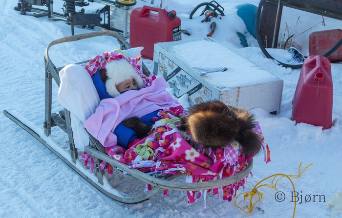 A family in Kaltag uses a home-made birch sled to pull their daughter in.