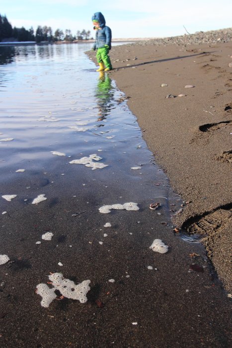 Katmai stomps the sea foam in a rising tide