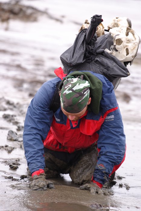 Tom crawling in thigh-deep mud in a slough on Kvichak Bay.