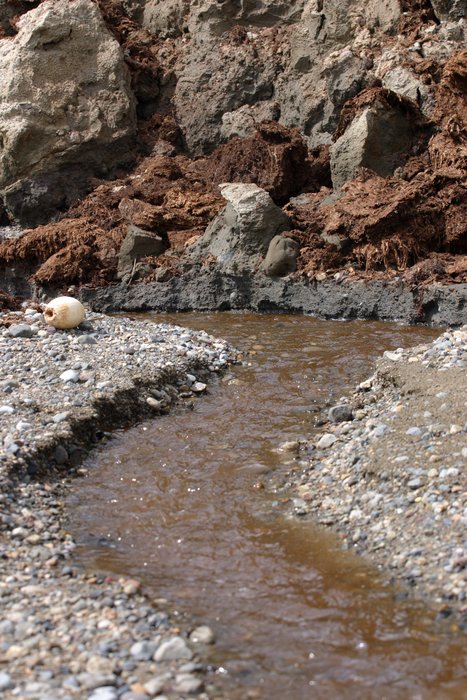 Muddy stream feeding into Bristol Bay.
