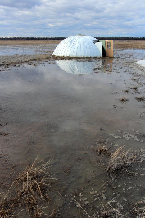A dome-like structure that might once have been a duck shack, blown into a marshy pool on the Susitna flats
