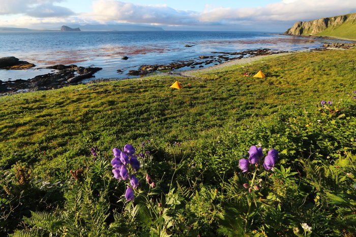 The broad grassy area along this shore was once a beach, but vegetation has sprung up there over the past few thousand years as Unalaska and Umnak uplift.