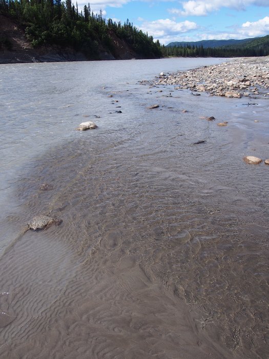 Clear creek water joining silty Susitna