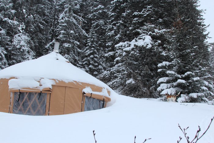 In early March, the snow is over 5 feet deep across the compound, nearly burying the 'grandma yurt'