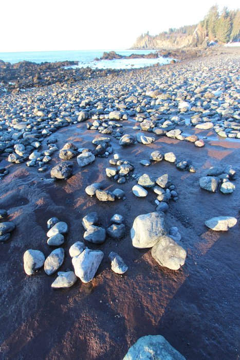 Low in the intertidal at the Outside Beach near Seldovia, a peat outcrop is covered in cobbles.