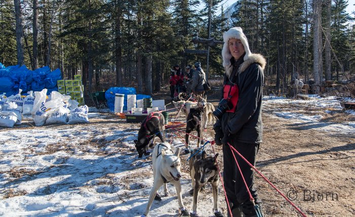 Bjørn and Kim volunteered to be dog handlers for 24 hours at the Rohn checkpoint on the Iditarod Trail.