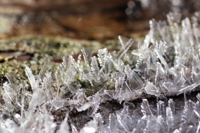 Sunlight on a beach log melts frost crystals up to the sharp edge of shadow.