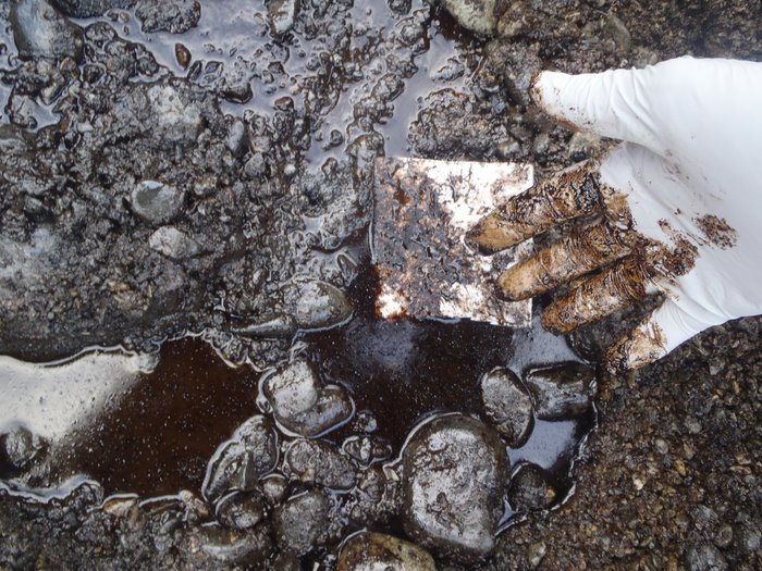 The Exxon Valdez Oil Spill spread crude oil over huge areas of Prince William Sound, and even 25 years later you can still find it just below the surface.