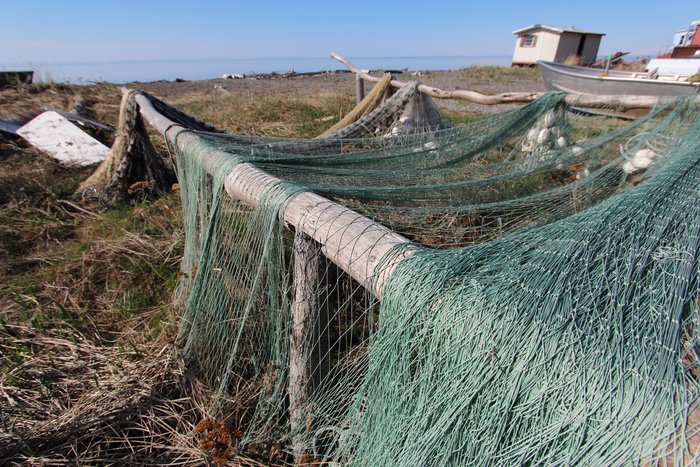 Fishing nets draped on shore at a Tyonek fish camp