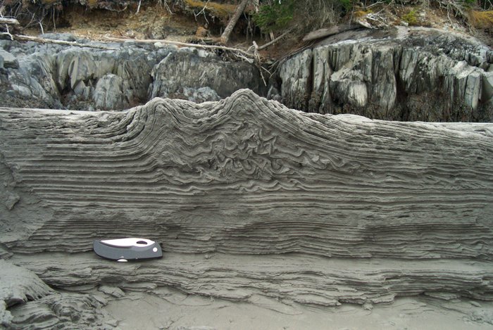 Tidal rhythmites sheared and folded after deposition.  Probably the force driving this deformation was an ice floe grounding on the sediment surface.