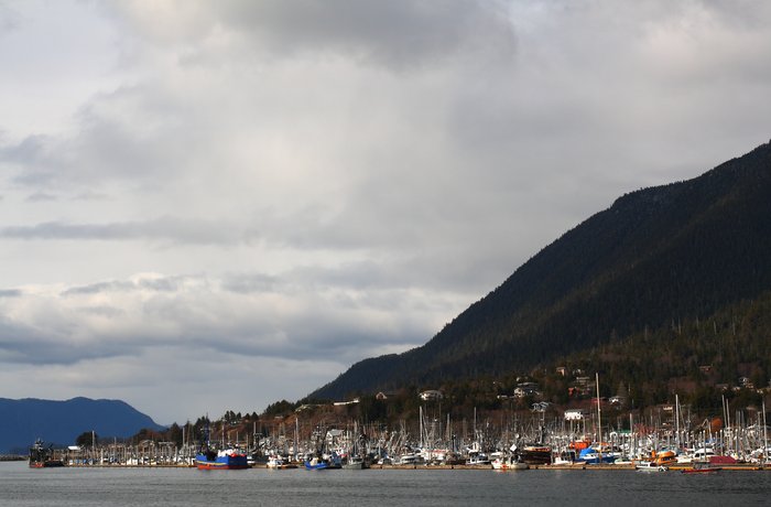 Sitka is a city of 10,000 with 5 harbors each filled with boats, and innumerable small docks and protected anchorages.