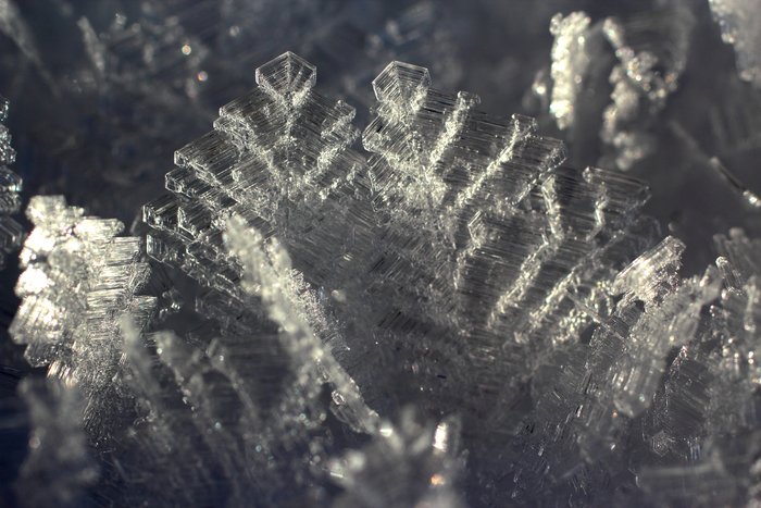 Dendritic patterns in a large frost crystal.