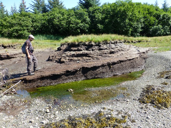 Geologist and teacher Joel Allen examines a peat outcrop near the Seldovia Airport.