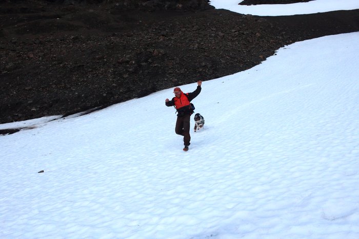 Man, dog, gravity, and snow.