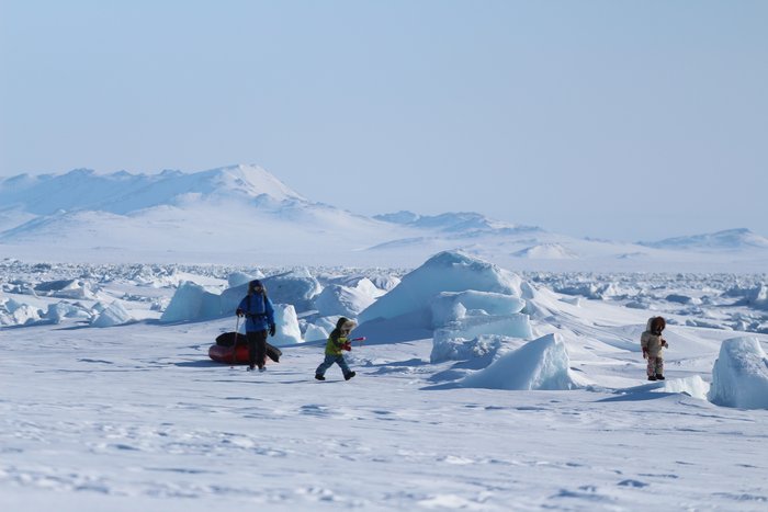 Katmai and Lituya playing "hide the ski pole" in the pressure ridges on the Bering Sea.