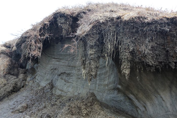 Beneath peaty soil, permafrost ice holds the land together, and fails at this as it melts.