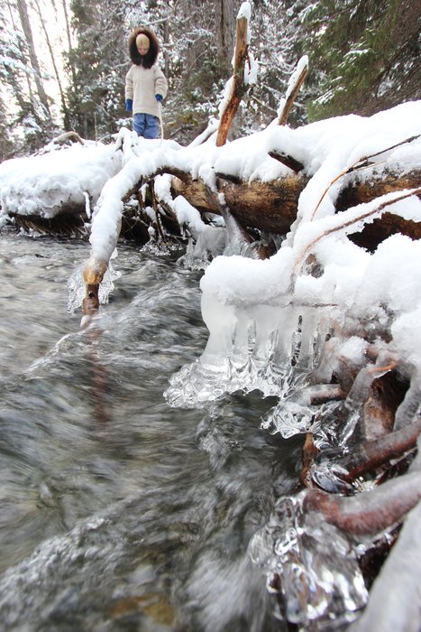 Ice accumulates around twigs above a small stream.