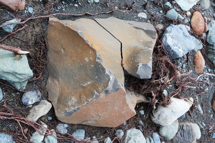 This small boulder is marked by impacts with rocks carried by a tsunami.