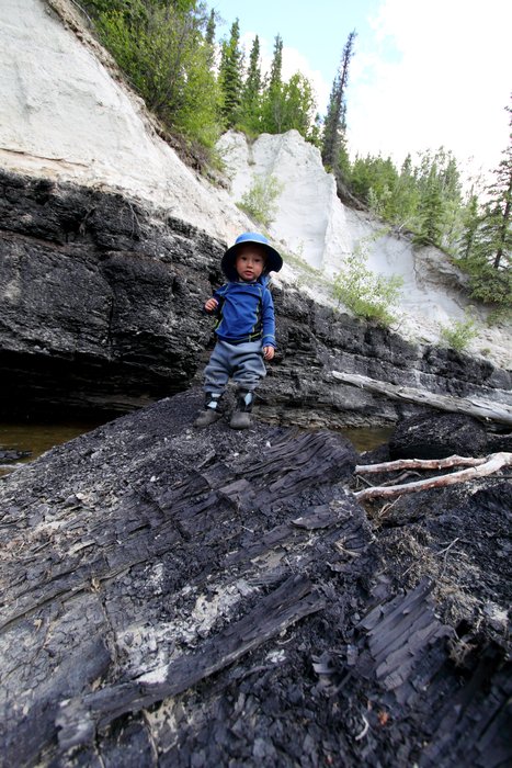 Katmai climbs a coal boulder along Marguerite Creek.