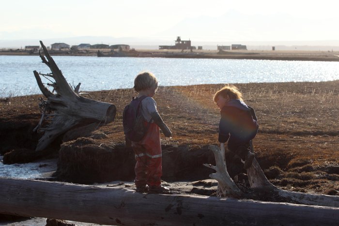 Katmai and Lituya are absorbed in their game on a piece of driftwood by a slough.