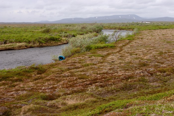 Low tundra terrace over the South Fork Koktuli River.