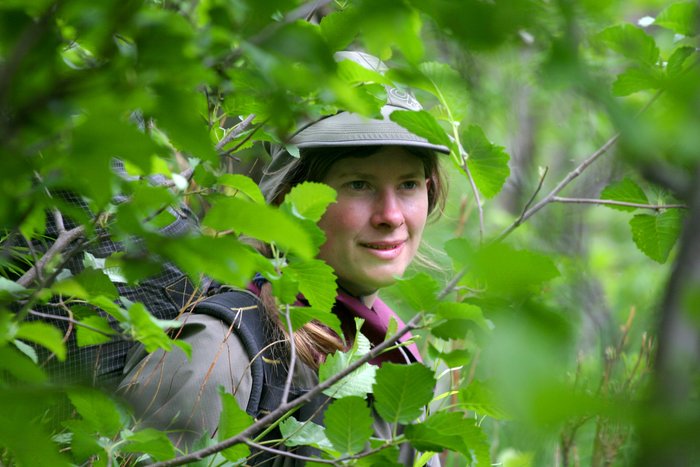 Erin peering out of the alders along the Kvichak River.
