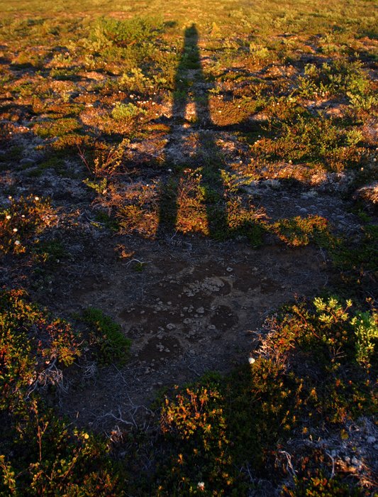 My shadow on the evening tundra. 