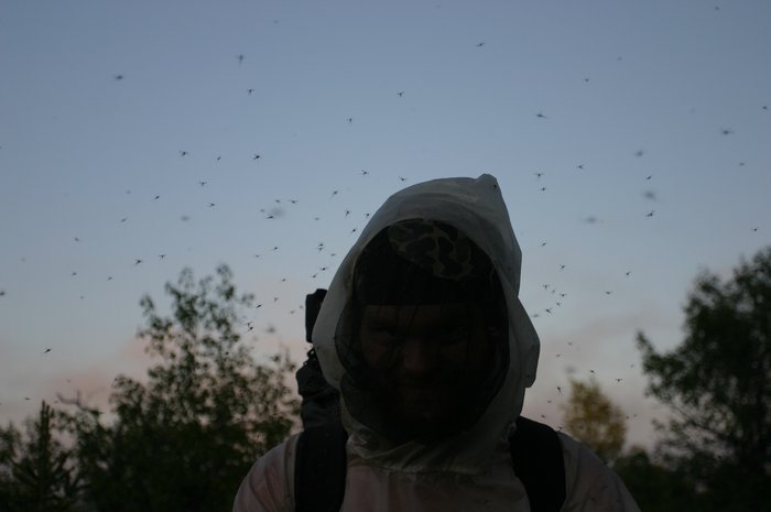 The evening also brings a thick cloud of moquitos around Tom's head. 