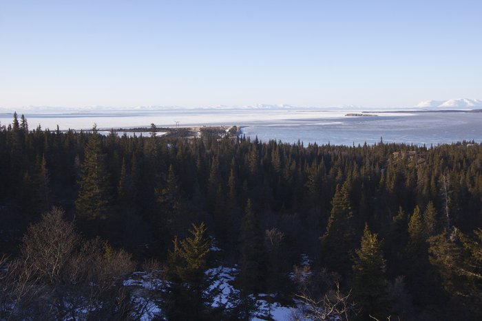 View of Lake Iliamna looking northwest; Kokhanok wind turbines are shown center-left