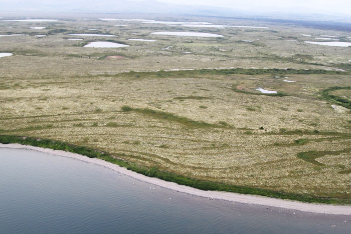 Aerial photos of beach ridges and beach scarps along Lake Iliamna