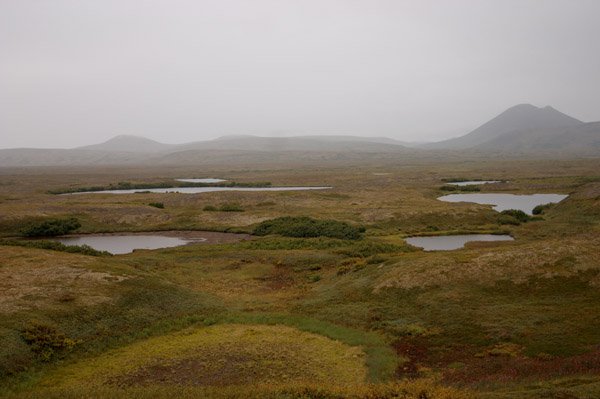 A plain of tundra stretches toward distant hills, dotted with shallow glacier-carved ponds. This is just a tiny corner of the proposed tailings lake site.