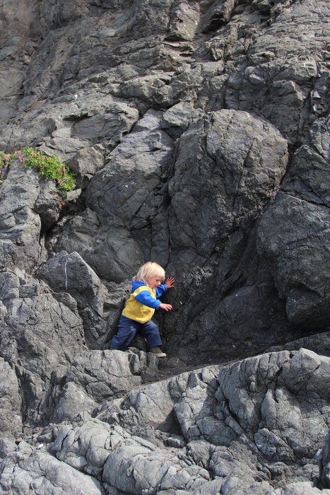 Katmai explores the cliffs at Outside Beach