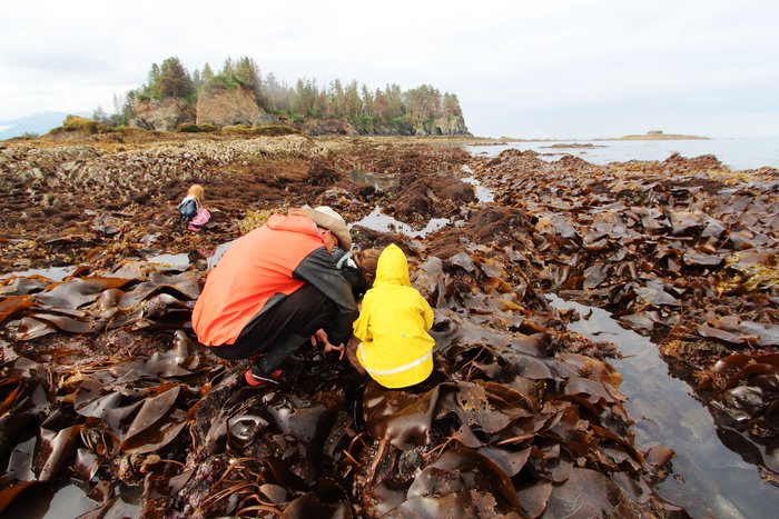 Looking for critters on a reef exposed at low tide along Kachemak Bay.