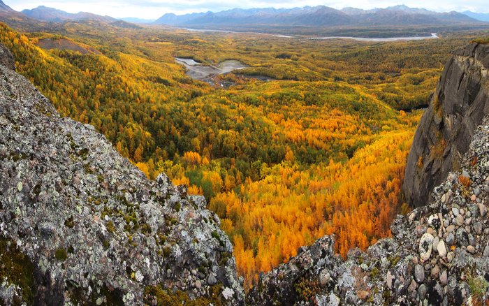 Fall colors blanket the Matanuska Valley in mid-Sept.  