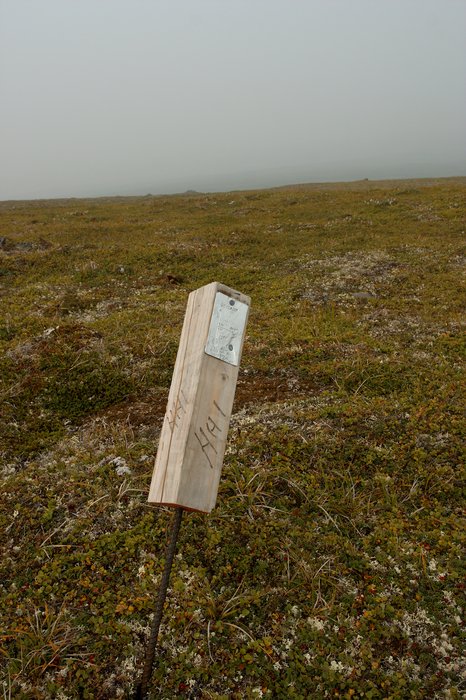 Outside the potential area of the Pebble Mine, smaller claim stakes can be found. Tundra plains between Nondalton and Groundhog Mountain.