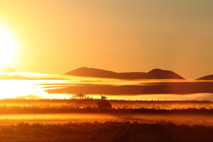 Bands of bright mist decorate marsh along the Noatak River.