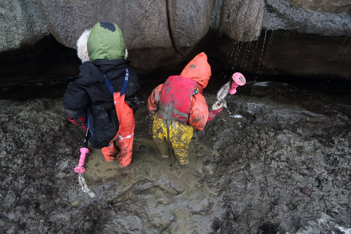 Katmai and Lituya explore the oozing goo that drips off a permafrost bluff.