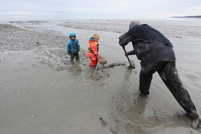Hig and the kids redirect streams on an Upper Cook Inlet Delta