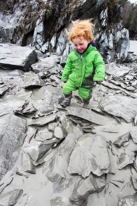 Lituya explores mud covered rocks along Turnagain Arm