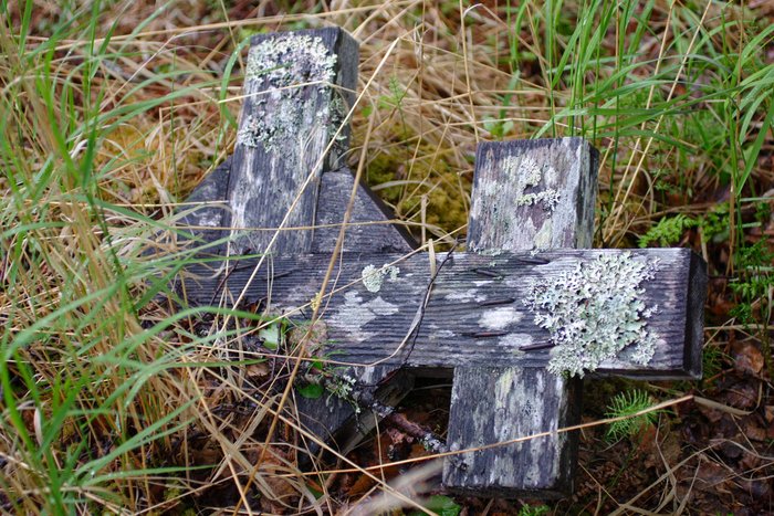 Russian Orthodox cross in a graveyard at the site of old Stuyahok village, along the Mulchatna River. 