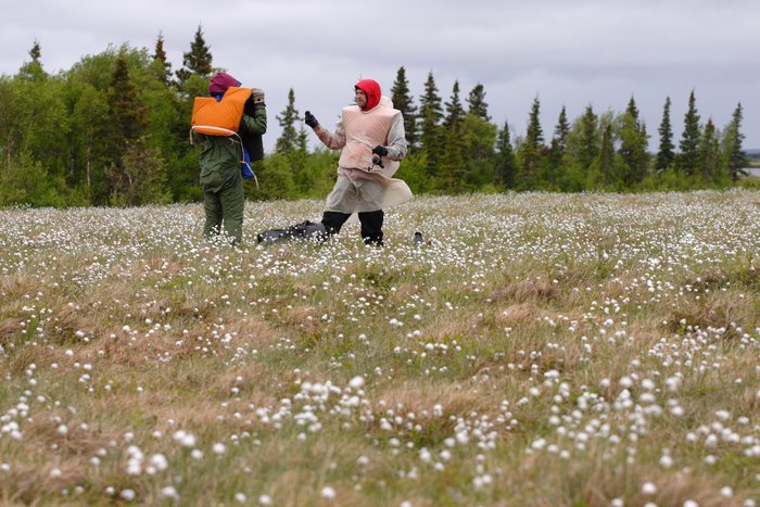 Hig and Tom in a cotton grass field above the Mulchatna River. 