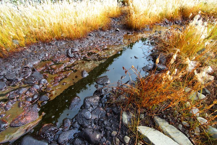 Oil seeps from the ground in the Samovar Hills and is carried away by a small stream.