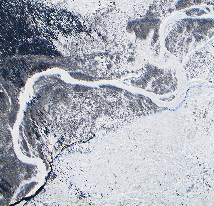 The dark line in this arial photo from March 2010 is open water.  The main stem of the stream is frozen, but springs along its southwest bank bring warmer groundwater up that keeps it ice-free.