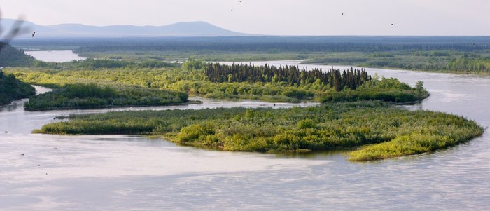 Islands in the Nushagak River, near the Mulchatna River confluence.