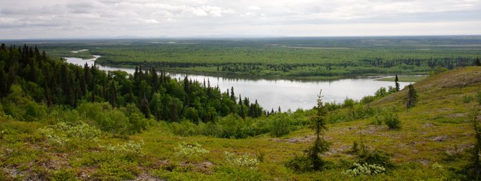 Tundra hillside and forested slopes above the Nushagak River.