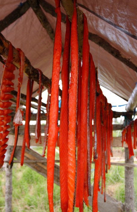 Salmon strips drying in Ekwok.