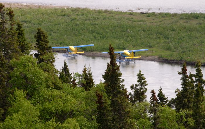 Floatplanes on a gravel bar island on the Nushagak River.   